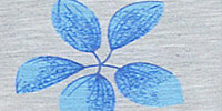 modrá
