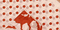 svetlohnedá