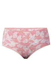 Janička maxi bavlnené nohavičky 3ks