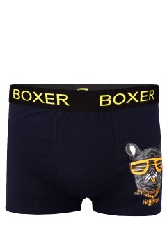 Boxer pánské bavlněné boxerky potisk JM 629 3bal.