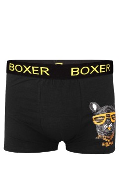 Boxer pánské bavlněné boxerky potisk JM 629 3bal.