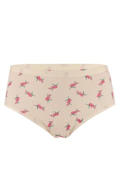 Františka klasické dámske nohavičky - 5bal