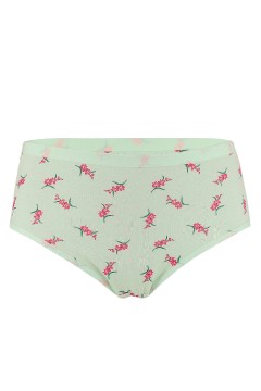 Františka klasické dámske nohavičky - 5bal