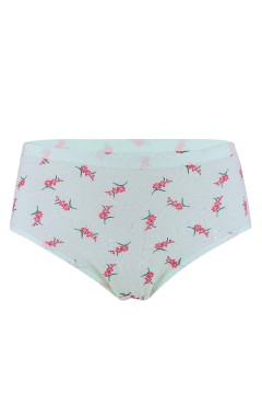 Františka klasické dámske nohavičky - 5bal