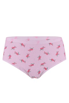 Františka klasické dámske nohavičky - 5bal