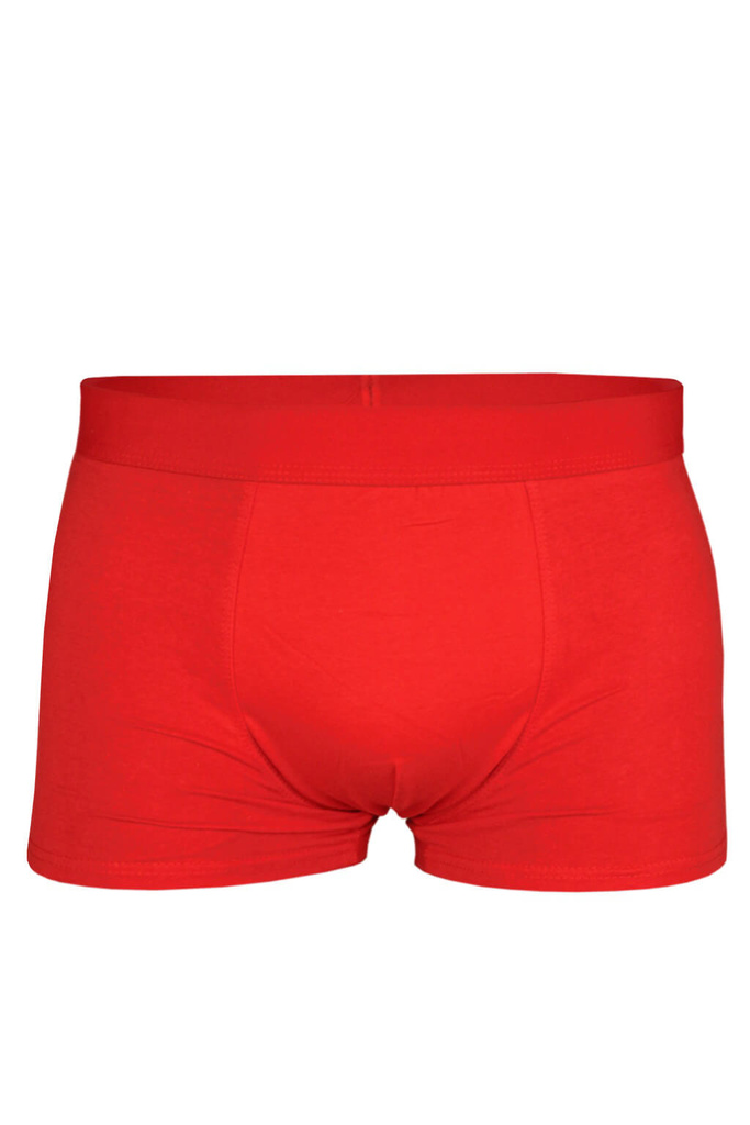 Santa vianočné boxerky