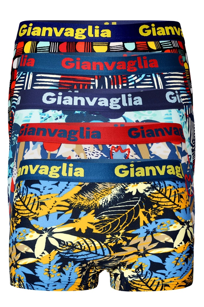 Pavlína dámske boxerky s nohavičkou GVG-8802 - 5bal.